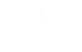 Agencia Engage Clientes: AMATEA